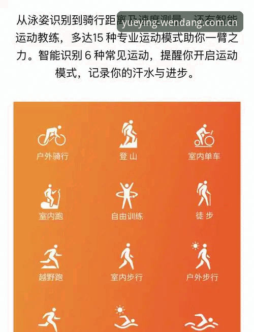 2026悦盈体育平台 2026悦盈体育平台深度评测:老用户的真实体验与功能全解析